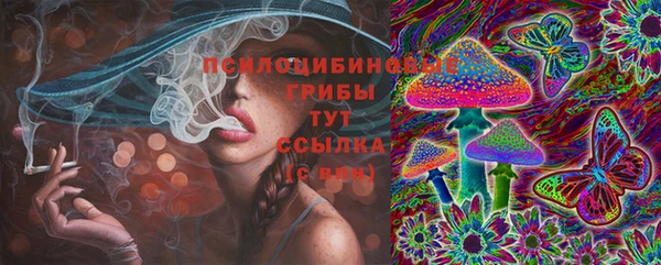 круглые Алексеевка