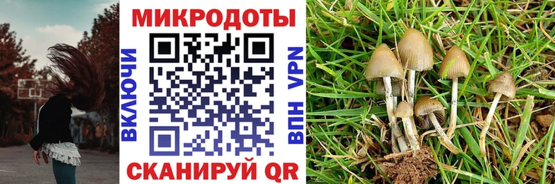 Псилоцибиновые грибы MAGIC MUSHROOMS Красноуральск